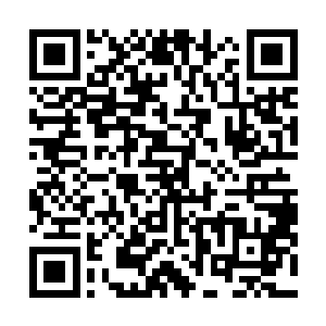 就算天凤大帝在爆炸的中心也被天地之力撕裂成碎片了吧二维码生成