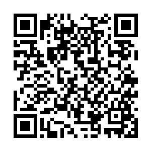 就算她这时候把在深渊里开始的二次神魂苏醒完成二维码生成