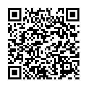 就算如今天丹商行和天器商行联手和天符商行开战二维码生成