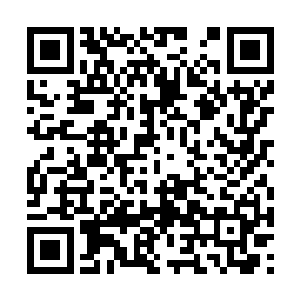 就算孙子轩能够炼制出将神兽幻化成为人形的药丹二维码生成