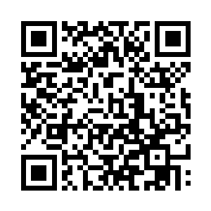 就算将那些中品的龙血花全部移植出去的话二维码生成