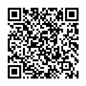 就算小姐先前在林家住的院子只怕连赶不上这里一分二维码生成