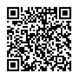 就算张铁在这百日之内利用时间之塔进阶圣阶也不行二维码生成