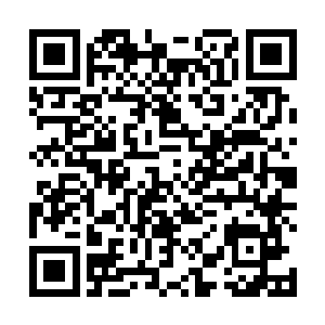 就算当年余蝎老魔身上也不过只是带了十多块八品灵晶二维码生成