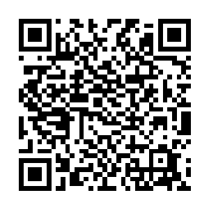 就算当时我把龙天若和龙天语就是同一个人的事告诉你二维码生成