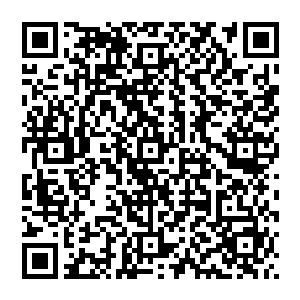 就算彼时你真的成了西天天地仍是给不起……因为我要的是整个红尘天外天……至高无上的主宰之位二维码生成