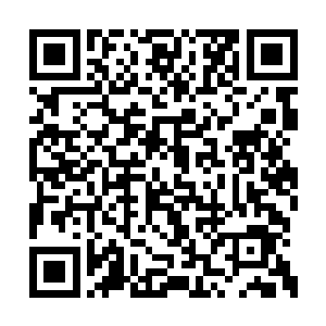 就算得到通天圣器和灵器也很难发挥出其威力来二维码生成