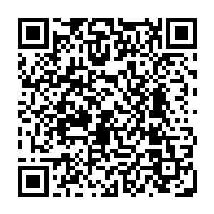 就算想把整个地球打造成适合修炼的界岛对与现在的他而言也不是什么难事二维码生成