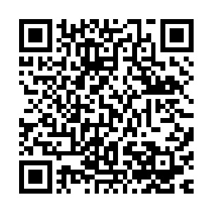 就算我一生都要可笑又可悲的活着……我也不想见不到你……二维码生成