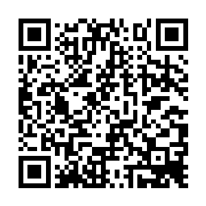 就算我有十分之一的概率可以直接斩断对方的武器二维码生成