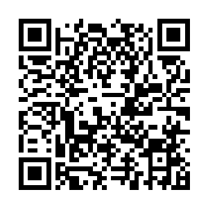就算把西浅和皮野绫换下来他们打小龙团照样少人二维码生成