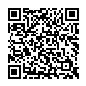 就算整个斜月至尊域单凭炼器能胜过他的也不多二维码生成