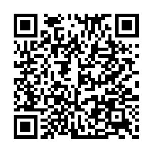 就算是一个普普通通扫地的都是九境的修为境界二维码生成