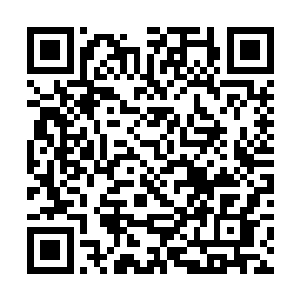 就算是一般的刀剑都不一定能够破开这些家伙的防御二维码生成