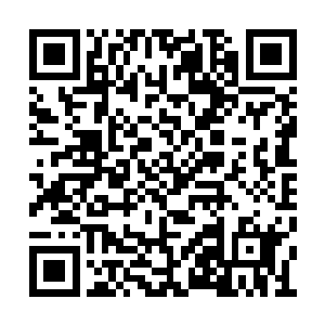 就算是三品妖兽中的钢骨黑狼也会遵从你的意念二维码生成