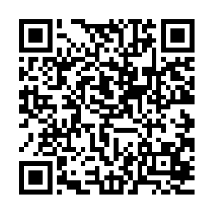 就算是不知道事情原委的人听了雨刚才的那句话也察觉出了不妥二维码生成
