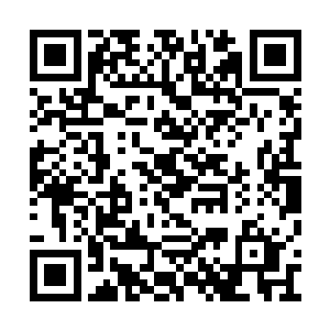 就算是专攻道门仙医之道都未必有什么大的成就二维码生成