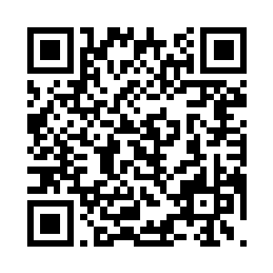 就算是他现在是整个人族修士界的叛徒二维码生成