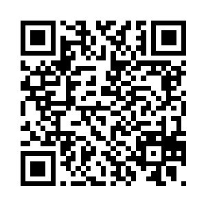 就算是他碰到了北极狼牙他们这些人二维码生成