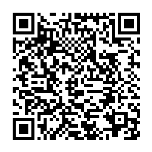 就算是仗着功法强大灵器强大最多也就是对付比自己高一个小境界的二维码生成