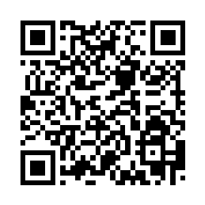 就算是以丹道医术闻名的木族中人二维码生成