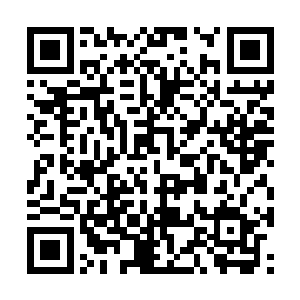 就算是以龙傲天现在的修为也不可能布置出传送门二维码生成