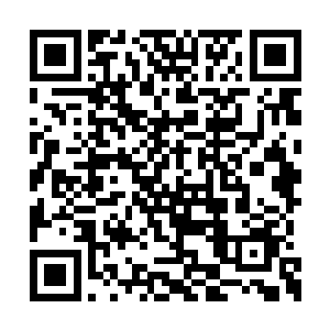 就算是会计师不行了还是有监管财务的事务所嘛二维码生成