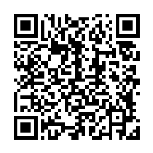 就算是像苦行僧那般修炼一个月还抵不上直接喝一口灵液呢二维码生成