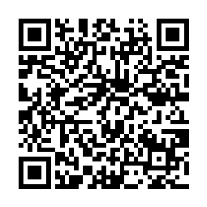 就算是典不出来保飞龙部落这些人他也不会主动出手二维码生成