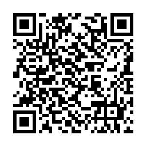 就算是准圣有造化图的屏蔽也不会被天地规则排斥二维码生成