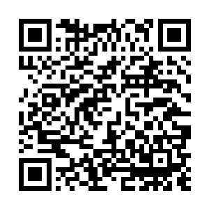 就算是出一个小境界也足以让无数的修士眼红为之争抢二维码生成