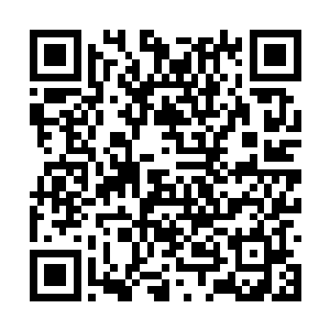 就算是到了夜里这里的海水温度也都在十来度以上二维码生成