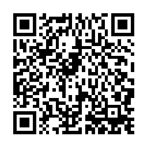 就算是前十大种族的所有防护阵法开启都无法抵抗的住二维码生成