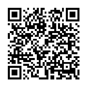 就算是副堂主常天水等人都未见过许白冰的真容二维码生成