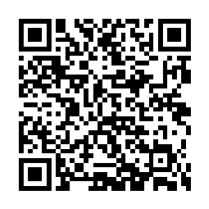 就算是十个你手中的玉佩都不一定能够换的来啊二维码生成