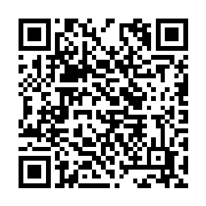 就算是各宗宗主也不能够强逼宗内的大修士去冒险二维码生成