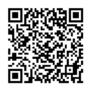 就算是后天后期的武者恐怕也达不到这样的速度二维码生成