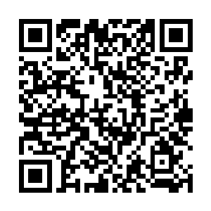 就算是唐劫在刚才也只探询了鬼雾殿和万草园两处地方二维码生成