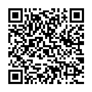 就算是四十八个长得比女人还漂亮的男子偶像组合集体表白二维码生成