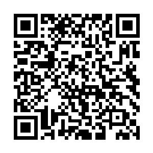 就算是围观在附近的各星域眼线们也能清楚地看出来二维码生成