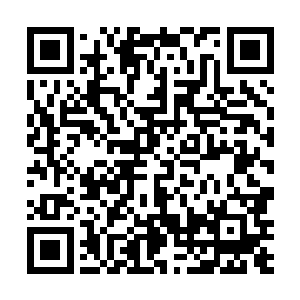 就算是圣级大修士也不认为是自己一个能够解决的事情二维码生成