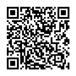 就算是在七层地底世界当中所出现的幽暗之母等存在二维码生成