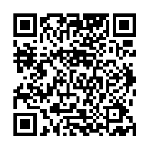 就算是在四大家族的外门中也可以谋得一个执事的职位了二维码生成