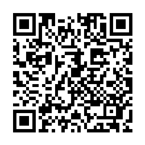 就算是在娱乐圈见惯了俊男美女的管盼也不禁为其外貌评了高分二维码生成