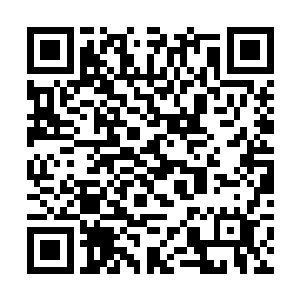 就算是夜染运起轻功全速奔跑也抵不上那圆石的滚动二维码生成