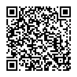 就算是大坤剑府这边积累最深厚的剑豪对上大乾剑府积累最浅的剑豪二维码生成