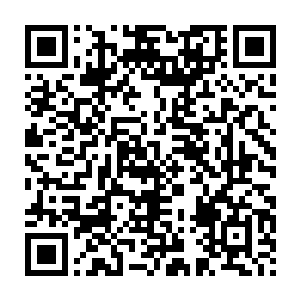 就算是天外天的穆凡君也不会直接下法旨任命下面的一个小小府主二维码生成