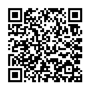 就算是她们现在开始学着种植和养殖也无法改变这个事实二维码生成