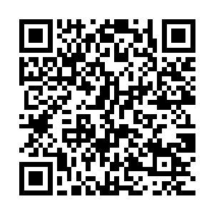 就算是她自己此时此刻她也无法从仇恨之中抽身出来二维码生成