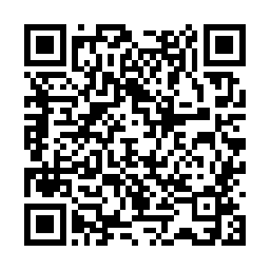 就算是威震世界的黑手党的魁首也不敢对莫凡不敬二维码生成